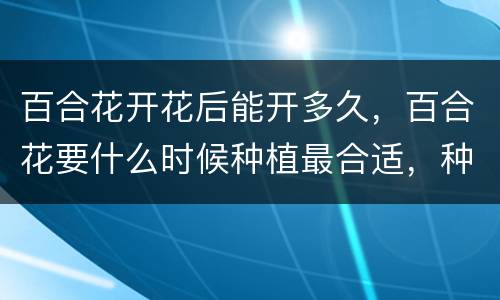 百合花开花后能开多久，百合花要什么时候种植最合适，种好的百合花多久会开