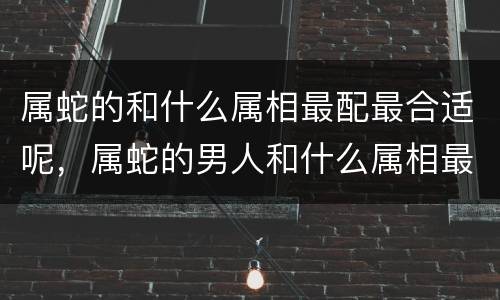 属蛇的和什么属相最配最合适呢，属蛇的男人和什么属相最配