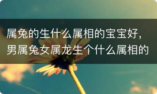 属兔的生什么属相的宝宝好，男属兔女属龙生个什么属相的宝宝好