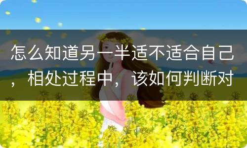 怎么知道另一半适不适合自己，相处过程中，该如何判断对方是不是适合自己？