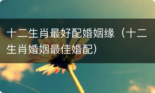 十二生肖最好配婚姻缘（十二生肖婚姻最佳婚配）