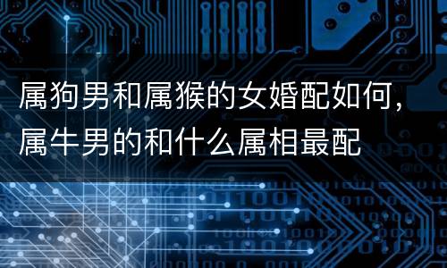 属狗男和属猴的女婚配如何，属牛男的和什么属相最配