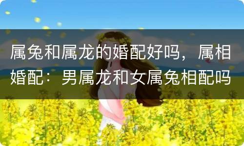 属兔和属龙的婚配好吗，属相婚配：男属龙和女属兔相配吗？
