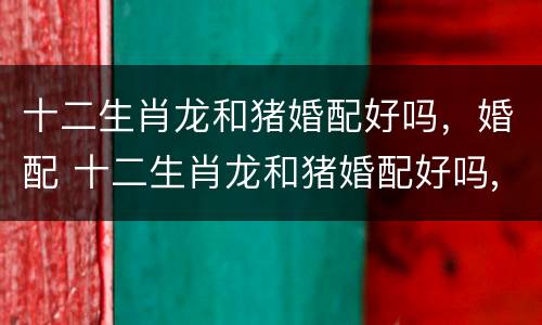 十二生肖龙和猪婚配好吗，婚配 十二生肖龙和猪婚配好吗,婚配好吗