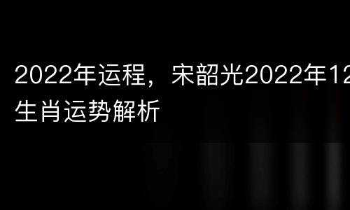 2022年运程，宋韶光2022年12生肖运势解析