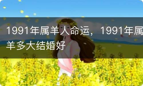 1991年属羊人命运，1991年属羊多大结婚好