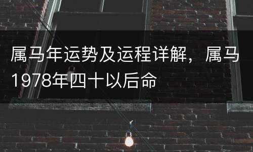 属马年运势及运程详解，属马1978年四十以后命