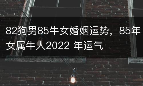 82狗男85牛女婚姻运势，85年女属牛人2022 年运气