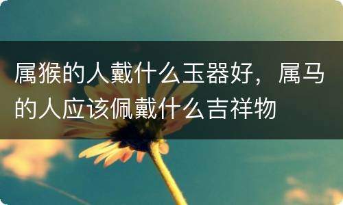 属猴的人戴什么玉器好，属马的人应该佩戴什么吉祥物