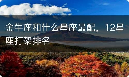 金牛座和什么星座最配，12星座打架排名