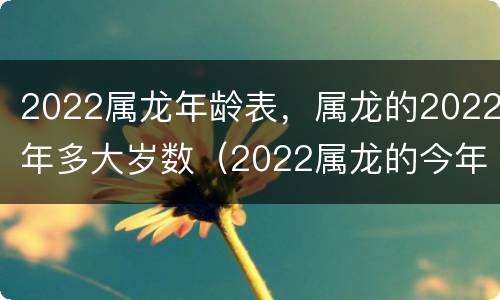 2022属龙年龄表，属龙的2022年多大岁数（2022属龙的今年多少岁了）