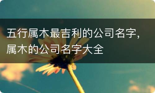 五行属木最吉利的公司名字，属木的公司名字大全