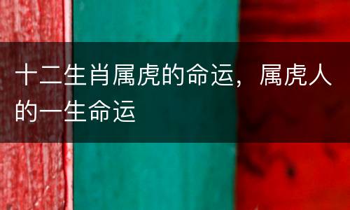 十二生肖属虎的命运，属虎人的一生命运