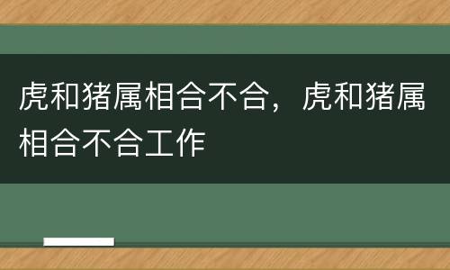 虎和猪属相合不合，虎和猪属相合不合工作