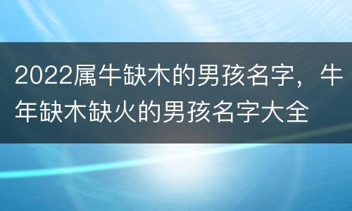 2022属牛缺木的男孩名字，牛年缺木缺火的男孩名字大全