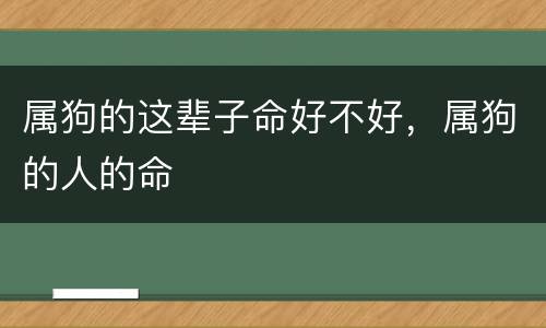 属狗的这辈子命好不好，属狗的人的命