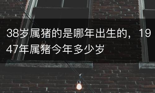 38岁属猪的是哪年出生的，1947年属猪今年多少岁