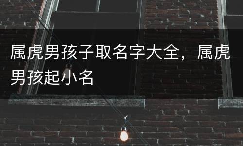 属虎男孩子取名字大全，属虎男孩起小名