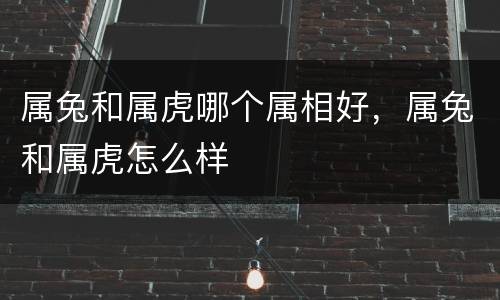 属兔和属虎哪个属相好，属兔和属虎怎么样
