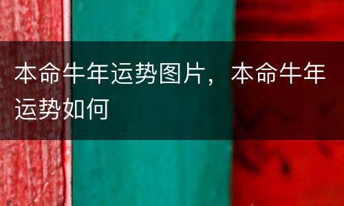 本命牛年运势图片，本命牛年运势如何