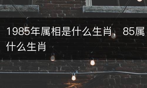 1985年属相是什么生肖，85属什么生肖