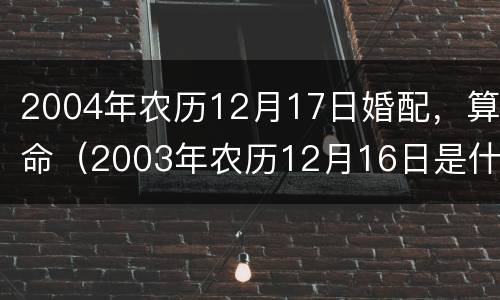 2004年农历12月17日婚配，算命（2003年农历12月16日是什么命）