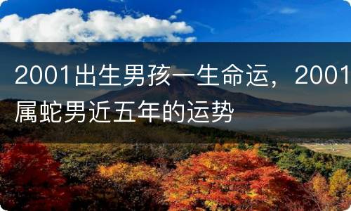 2001出生男孩一生命运，2001属蛇男近五年的运势