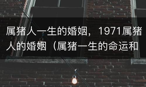 属猪人一生的婚姻，1971属猪人的婚姻（属猪一生的命运和婚姻1971）