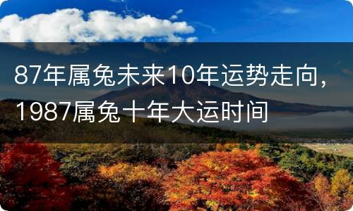 87年属兔未来10年运势走向，1987属兔十年大运时间