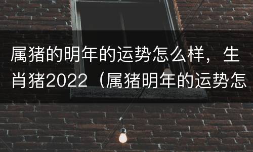 属猪的明年的运势怎么样，生肖猪2022（属猪明年的运势怎样?）