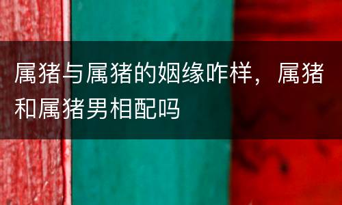 属猪与属猪的姻缘咋样，属猪和属猪男相配吗