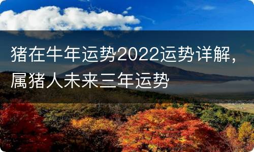 猪在牛年运势2022运势详解，属猪人未来三年运势