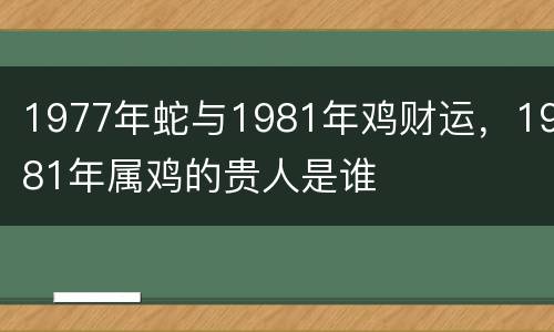 1977年蛇与1981年鸡财运，1981年属鸡的贵人是谁