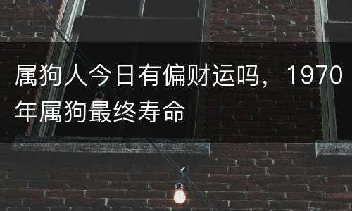 属狗人今日有偏财运吗，1970年属狗最终寿命