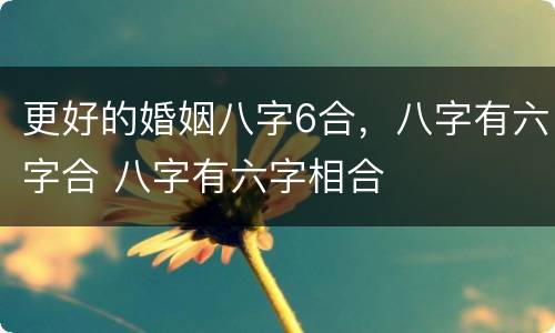 更好的婚姻八字6合，八字有六字合 八字有六字相合