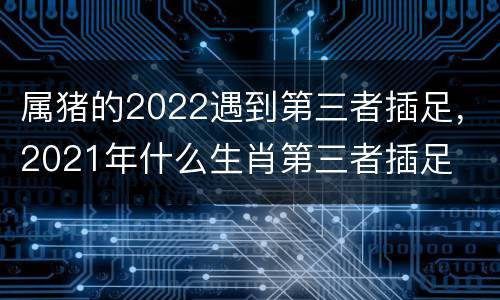 属猪的2022遇到第三者插足，2021年什么生肖第三者插足