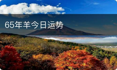 65年羊今日运势