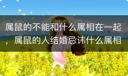 属鼠的不能和什么属相在一起，属鼠的人结婚忌讳什么属相