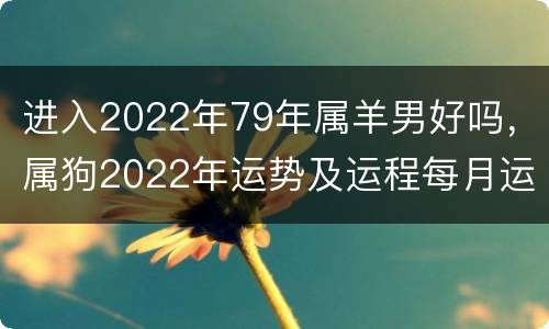 进入2022年79年属羊男好吗，属狗2022年运势及运程每月运程