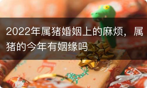 2022年属猪婚姻上的麻烦，属猪的今年有姻缘吗