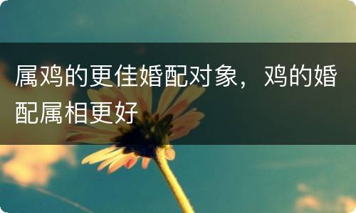属鸡的更佳婚配对象，鸡的婚配属相更好