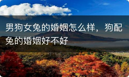 男狗女兔的婚姻怎么样，狗配兔的婚姻好不好
