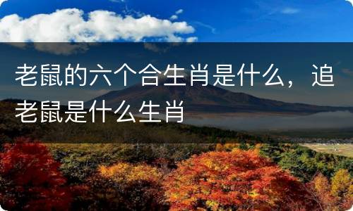 老鼠的六个合生肖是什么，追老鼠是什么生肖