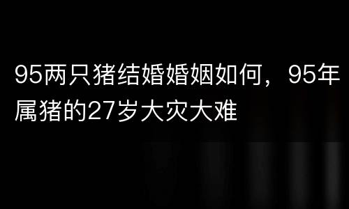 95两只猪结婚婚姻如何，95年属猪的27岁大灾大难