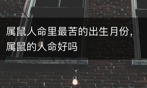属鼠人命里最苦的出生月份，属鼠的人命好吗