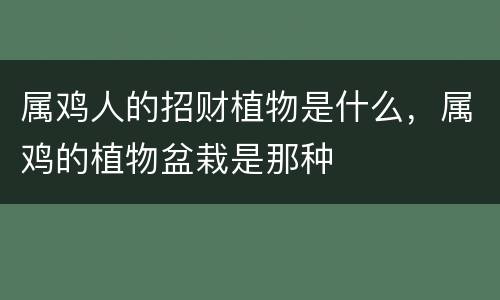 属鸡人的招财植物是什么，属鸡的植物盆栽是那种