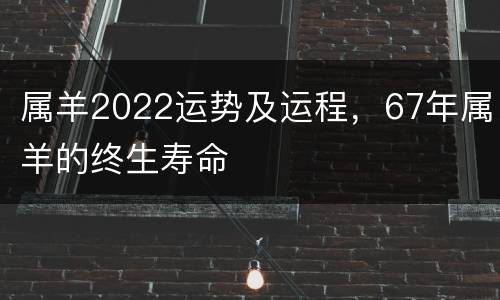属羊2022运势及运程，67年属羊的终生寿命