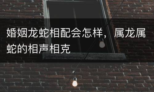 婚姻龙蛇相配会怎样，属龙属蛇的相声相克