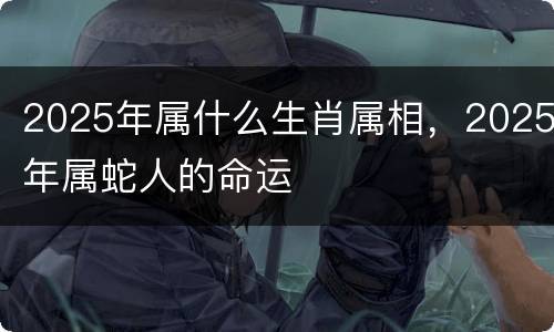 2025年属什么生肖属相，2025年属蛇人的命运