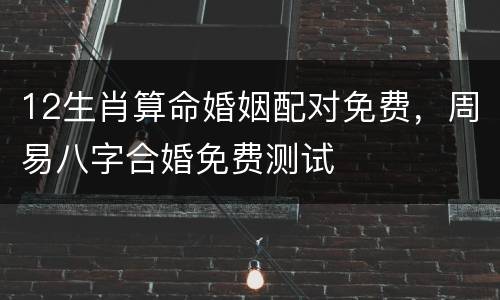 12生肖算命婚姻配对免费，周易八字合婚免费测试